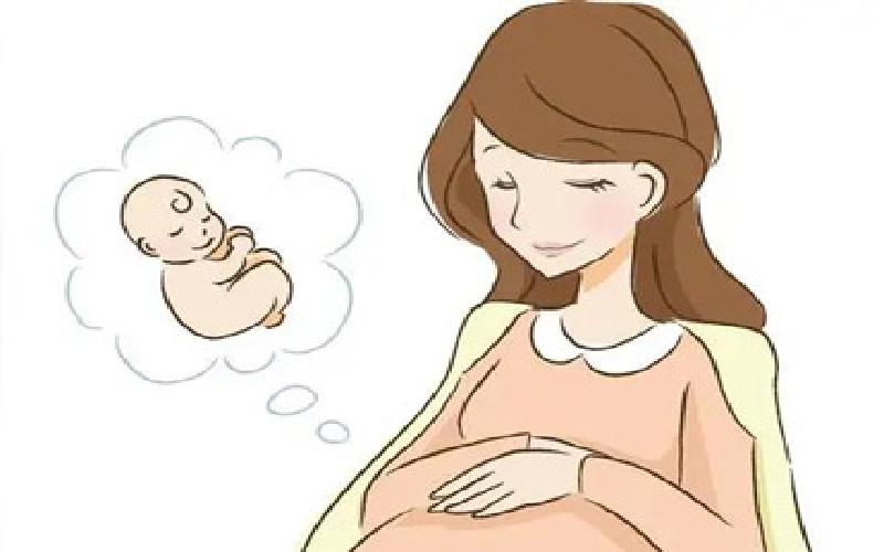 试管板50孔代生